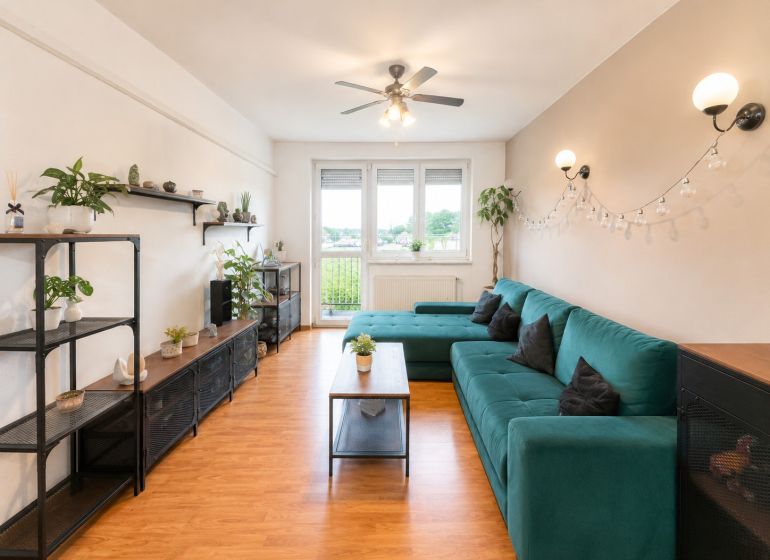 Wohnzimmer in einer 4-Zimmer-Wohnung mit Holzboden, grüner Couch und Pflanzen.