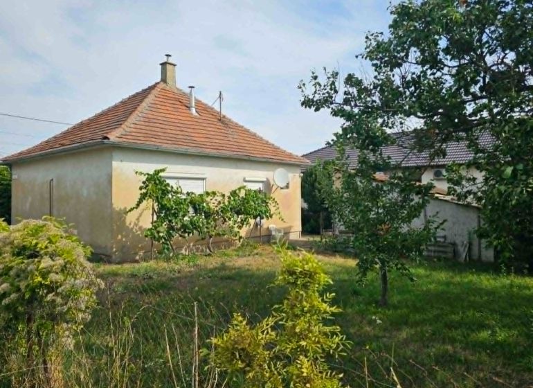 Ein Einfamilienhaus in der Dvorčanská-Straße in Dolné Krškany mit einem Rasen-Garten und Weinreben.