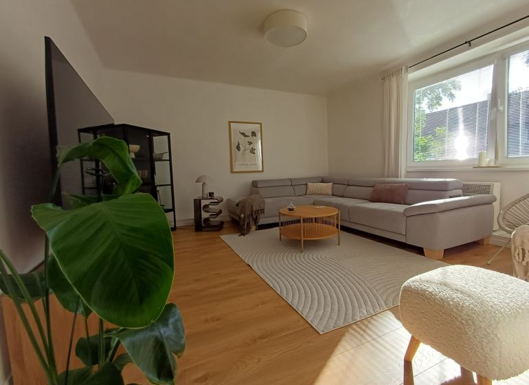 Wohnzimmer in einer 2-Zimmer-Wohnung mit Holzboden und bequemer Couch.