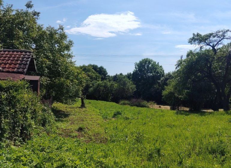 Grüne Wohnbaugrundstücke in Žehňa, umgeben von Bäumen und blauem Himmel.