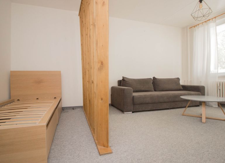 Einzimmerwohnung mit Sofa, Bett und Holzwand, heller Raum.