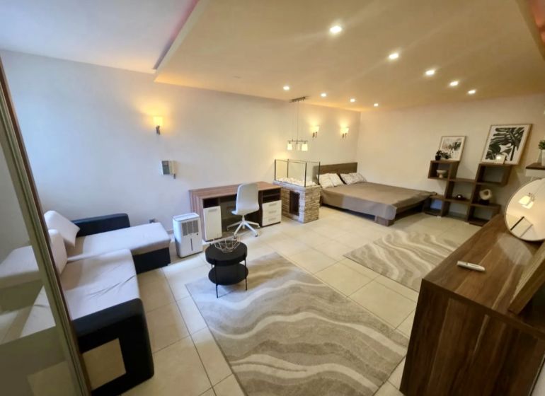 1-Zimmer-Wohnung mit Bett, Sofa, Teppich und Beleuchtung, Boden mit Holzdekor.