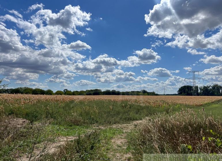 Landwirtschaftliche und forstwirtschaftliche Flächen in Bernolákovo mit blauem Himmel und Wolken, Feldern und Bäumen.
