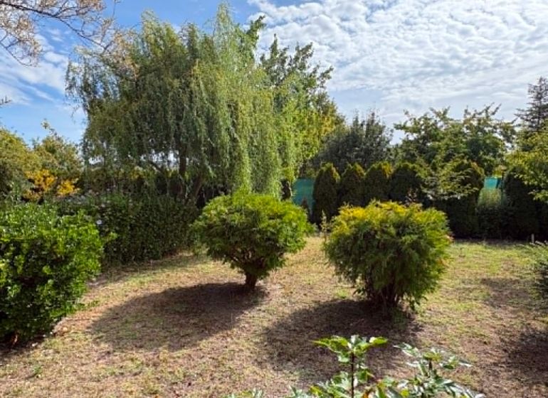 Gärten in Komárno mit reicher grüner Vegetation, einschließlich Bäumen und Sträuchern.