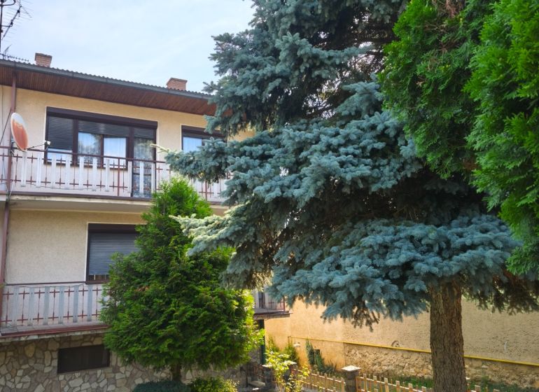 Ein Einfamilienhaus in Jelenec mit Balkon, umgeben von Grün und Nadelbäumen.