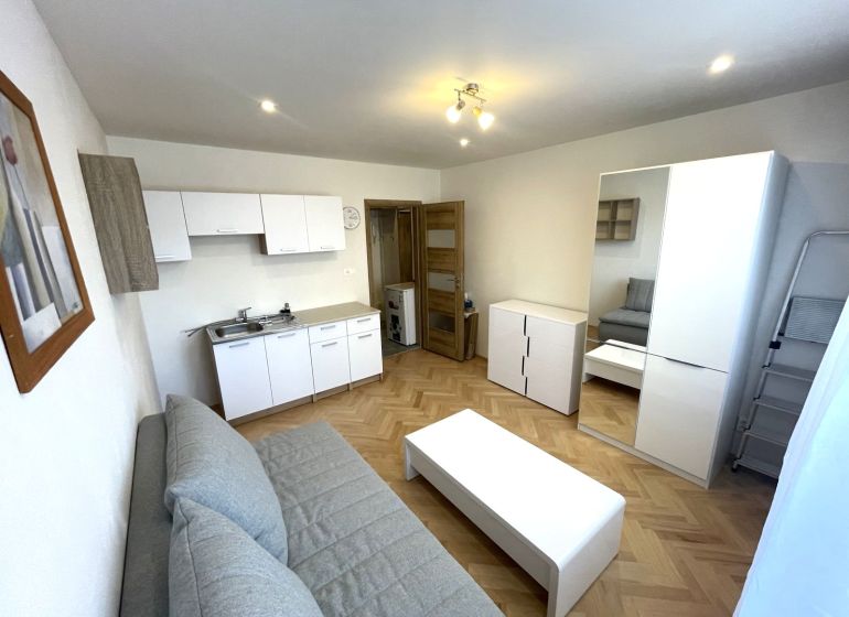 Einzimmerwohnung mit Holzboden, Küchenzeile und hellen Möbeln.