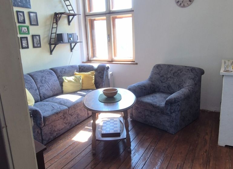 Wohnzimmer in einer 2-Zimmer-Wohnung mit Holzboden und bequemer Couch.