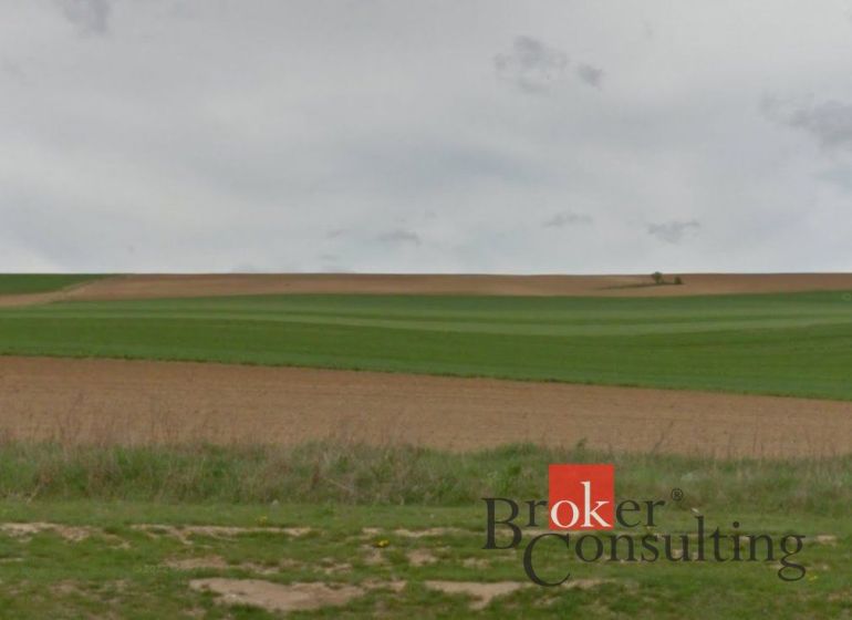 Weitläufige grüne Felder in Lužianky, geeignet für Grundstücke - Wohnen.