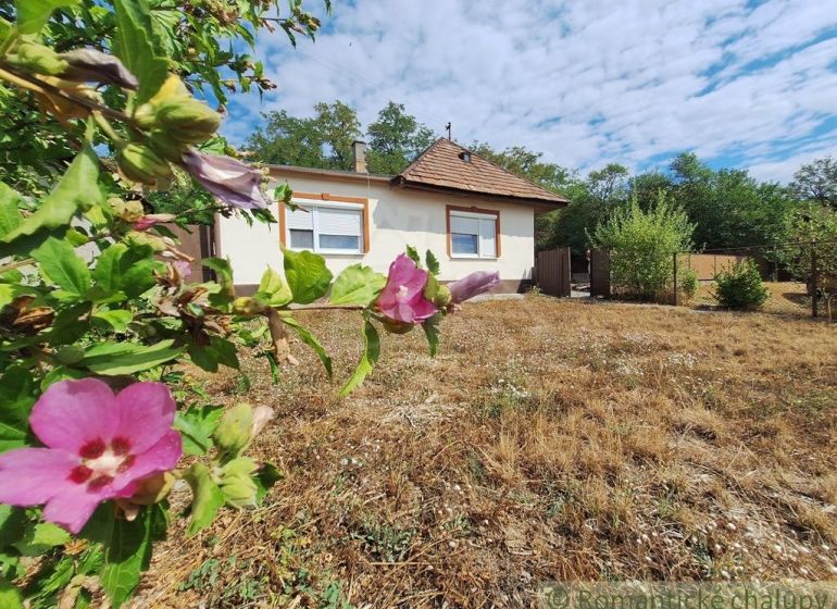 Ein Einfamilienhaus in Kamenica nad Hronom, umgeben von Blumen und trockenem Gras auf dem Grundstück.
