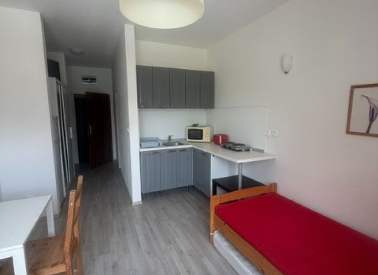 Ein Studio mit Holzboden und Küchenzeile, enthält einen Ess- und Schlafbereich.