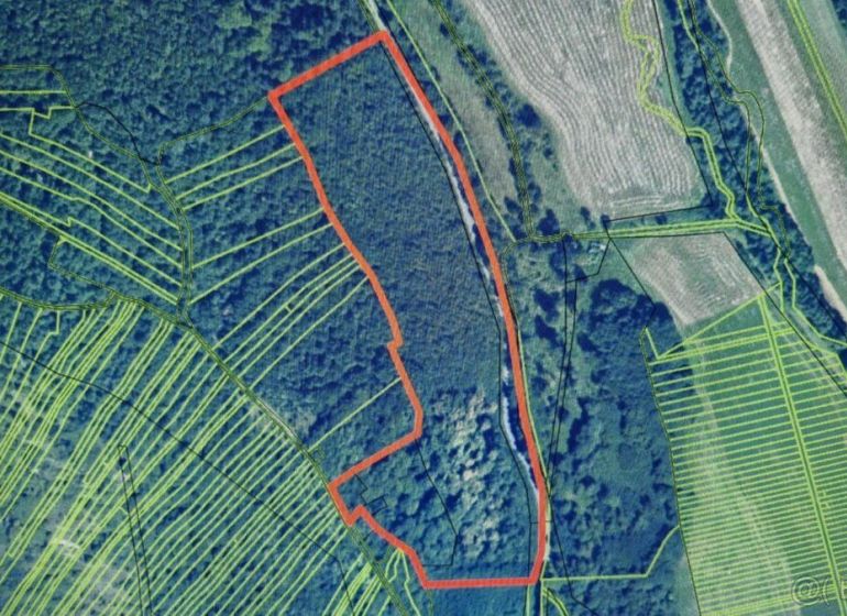 Landwirtschaftliche und forstwirtschaftliche Grundstücke in Dolné Strháre, abgegrenzt durch eine rote Linie auf der Karte.