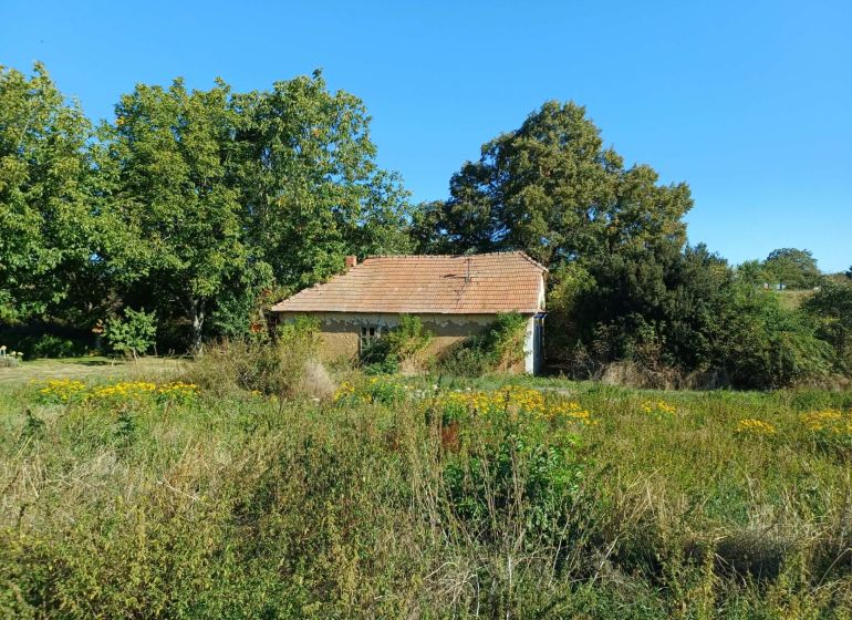 Ein von Vegetation umgebenes Haus in der Hauptstraße in Ceroviny, Grundstücke - Wohnen.