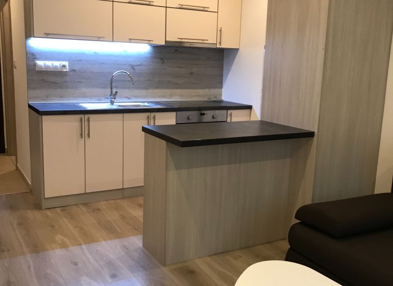 Einzimmerwohnung mit Küche, Holzboden, heller Innenraum mit Sofa.