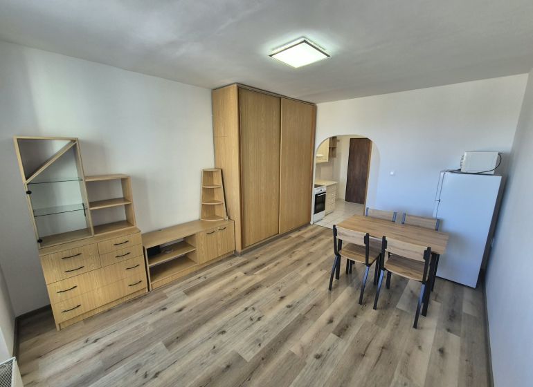 Einzimmerwohnung mit Holzboden, Möbeln, Esstisch und Kochnische.