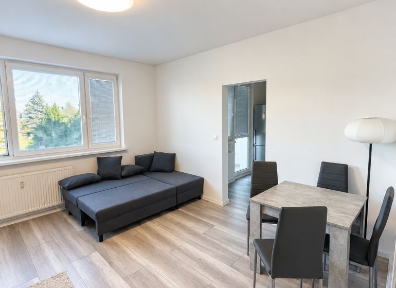 Wohnzimmer in einer Zweizimmerwohnung mit Sofa, Esstisch und Holzboden.