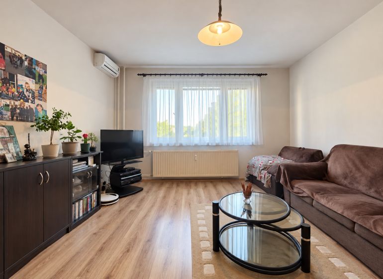 Wohnzimmer in einer 3-Zimmer-Wohnung mit Sofa, Couchtisch und Holzboden.