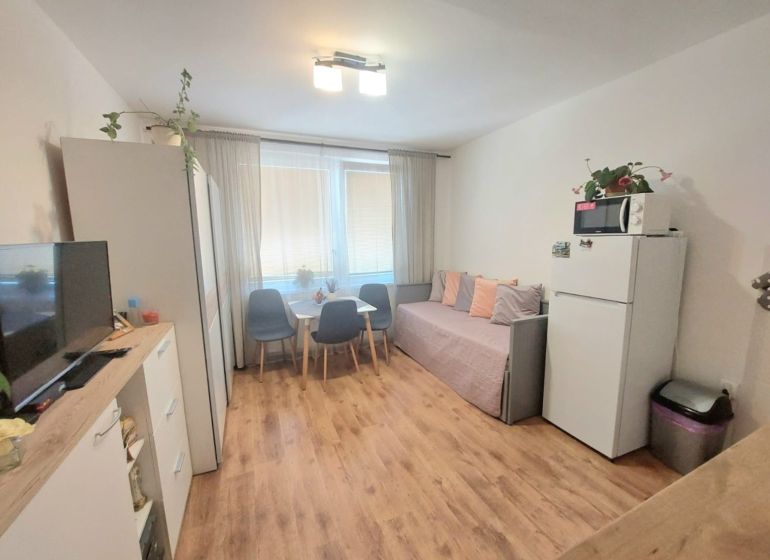 Einzimmerwohnung mit Holzboden, Tisch mit Stühlen und Sofa.