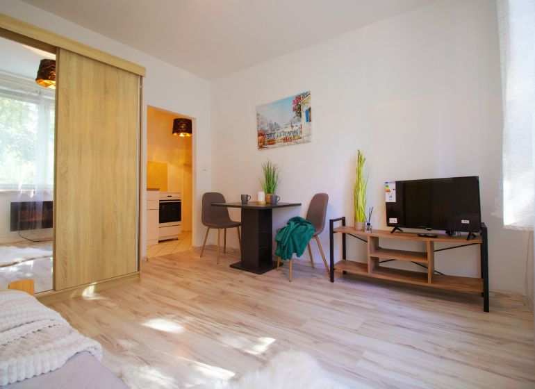 Einzimmerwohnung mit hellem Wohnzimmer, Holzboden und Kochnische.