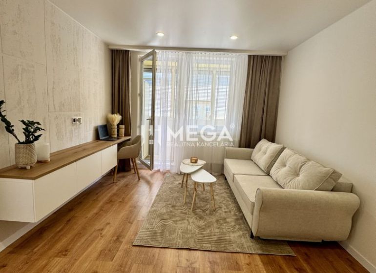 Wohnzimmer in einer Einzimmerwohnung mit einem Sofa und einem Boden in Holzoptik.