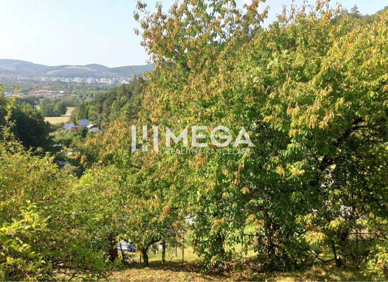 Das Grün der Gärten in Humenné mit Blick auf die entfernte Stadt und die Hügel.