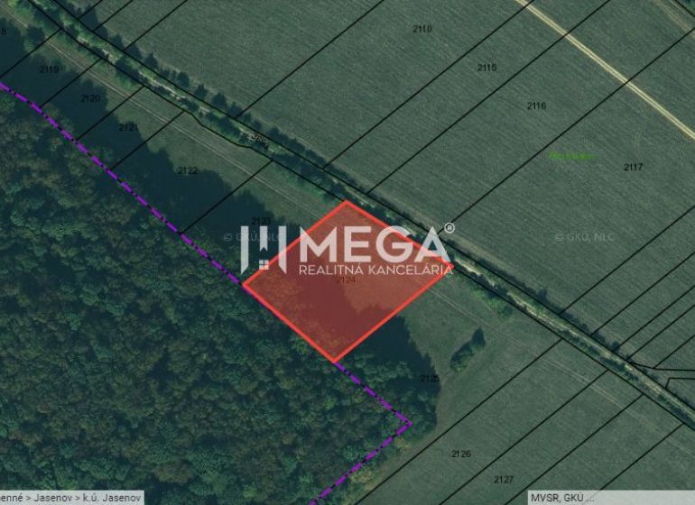 Luftkarte in Jasenov auf der Jasenov Straße, die Grundstücke und besondere Immobilien darstellt.