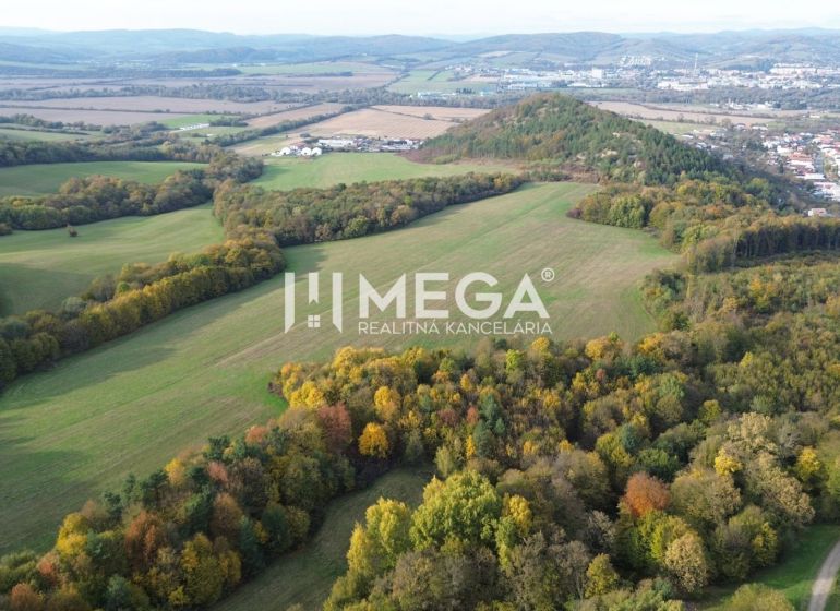 Luftaufnahme von ungewöhnlichen Immobilien mit Wäldern und Feldern in Jasenov.