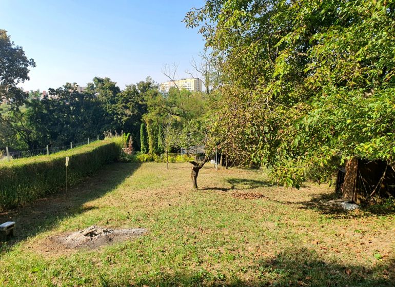Garten mit Rasen und Bäumen in Košice in der Ul. 1 mája, Krásna.