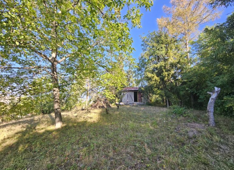 Gärten in der Šípková-Straße in Košice-Krásna mit einer Holzhütte und reicher Vegetation.