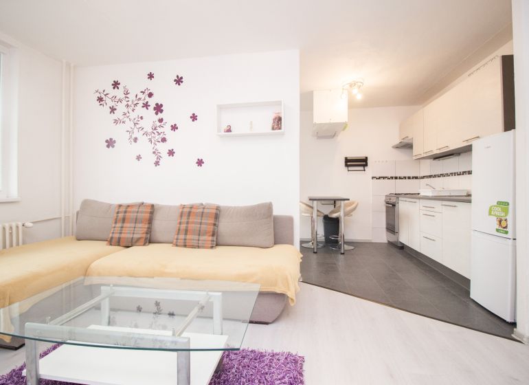 Wohnzimmer und Küche in einer 2-Zimmer-Wohnung mit Sofa und Esstisch.