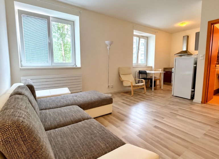 Einzimmerwohnung mit Holzboden, Sofa und Küchenzeile.