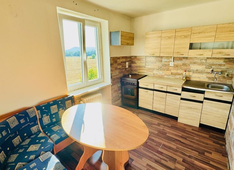 Küche in einer Einzimmerwohnung mit Küchenzeile, Holzboden und Aussicht.