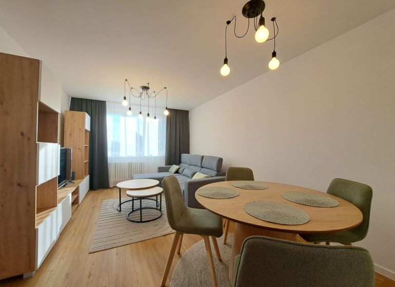 Wohnzimmer in einer 2-Zimmer-Wohnung mit einem bequemen Sofa und einem Boden in Holzoptik.