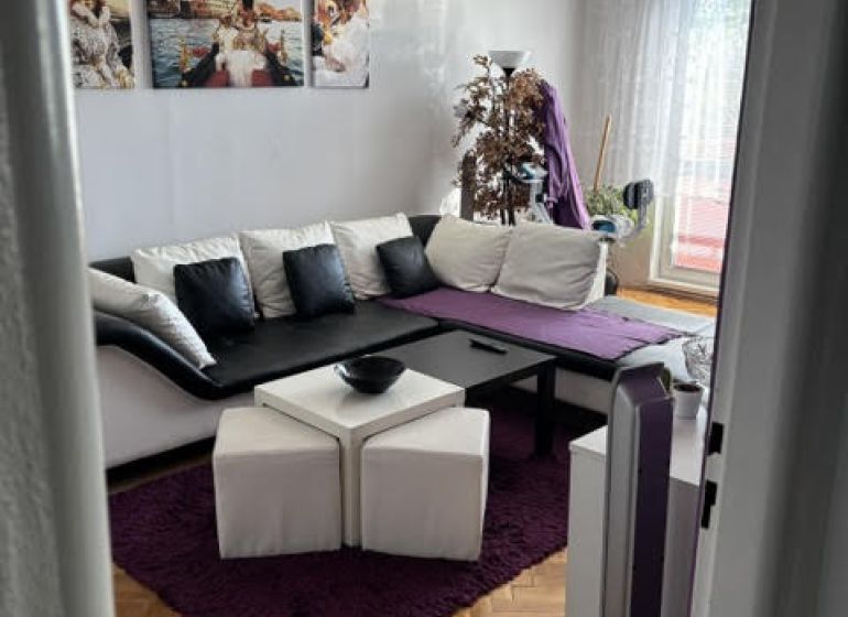 Gemütliches Wohnzimmer mit Holzboden in einer begehrten 2-Zimmer-Wohnung.