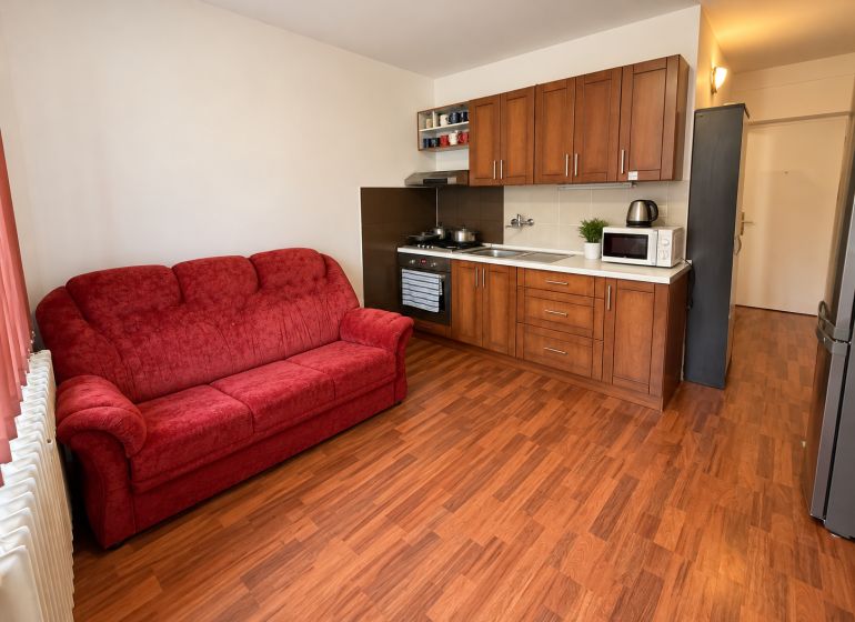 Küche in einer Einzimmerwohnung mit rotem Sofa und Holzboden.