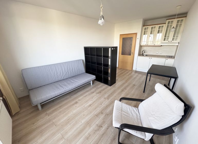 Einzimmerwohnung mit Sofa, Sessel und Küchenzeile auf einem Boden mit Holzdekor.