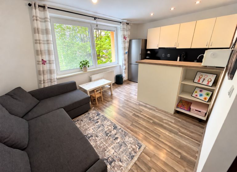 Helles Wohnzimmer in einer Einzimmerwohnung mit Holzboden und Kochnische.