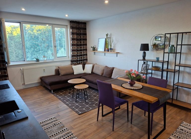 Wohnzimmer mit Holzboden, Sofa und Esstisch in einer Einzimmerwohnung.