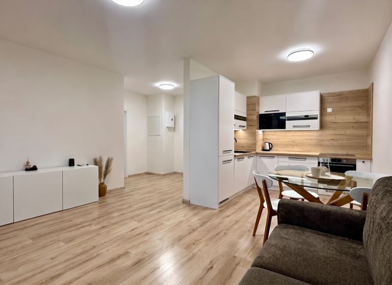 Wohnzimmer in einer 2-Zimmer-Wohnung mit Küche, Holzboden, helle Wände.