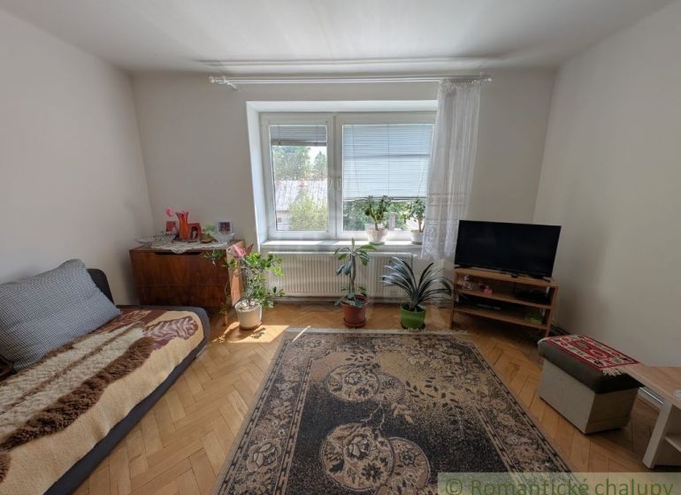 Ein Zimmer in einer 2-Zimmer-Wohnung mit Teppichen, Blumen und einem Boden in Holzoptik.