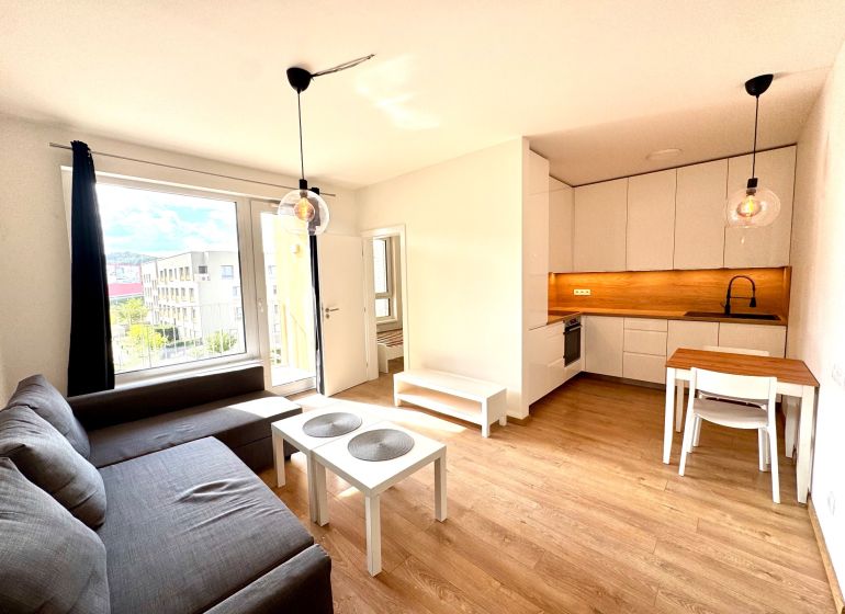 Wohnzimmer mit Küche in einer 2-Zimmer-Wohnung mit Holzboden.