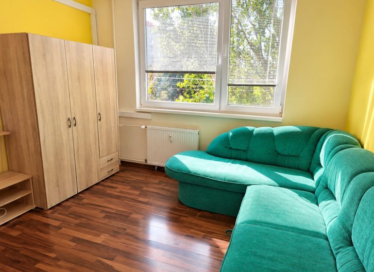 Einzimmerwohnung mit Holzboden, grünem Sofa und Schrank.