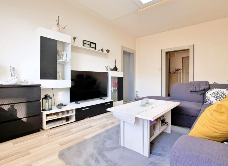 Wohnzimmer in einer 2-Zimmer-Wohnung mit Sofa, Dekoren und Holzboden.