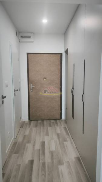 Eingangsbereich in einem Einzimmerapartment, helle Wände, Holzboden und Einbauschrank.