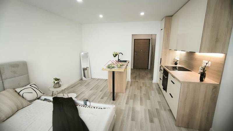 Einzimmerwohnung mit Kochnische, Sofa und Spiegel; einfaches Interieur auf Holzboden.