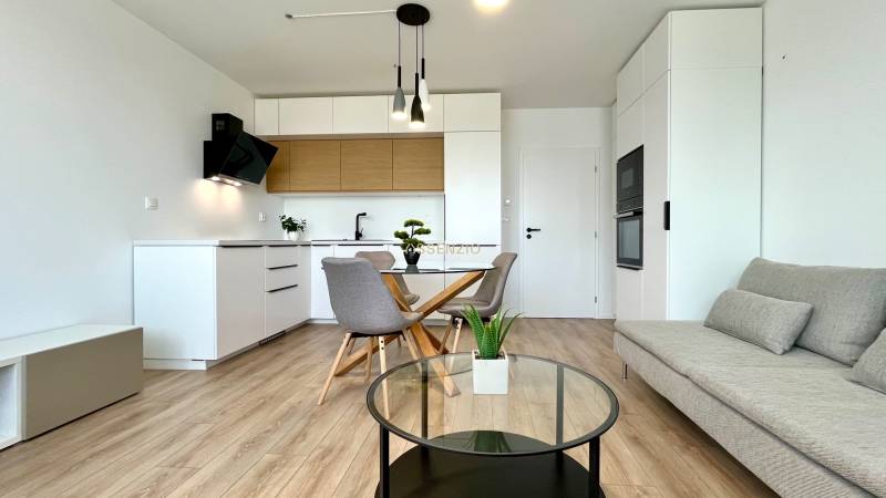 Obývací Zimmer in einer 2-Zimmer-Wohnung mit Küchenzeile, Sofa und Tisch.