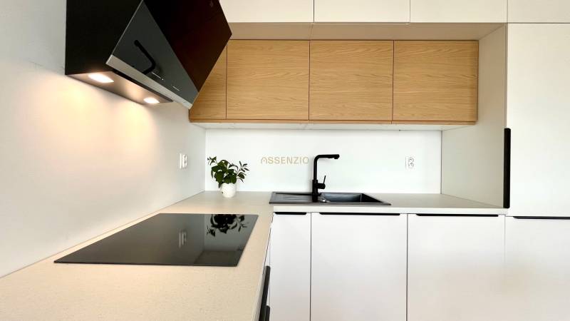 Küche in einer 2-Zimmer-Wohnung mit Holzschränken, Kochfeld und Pflanze auf der Theke.