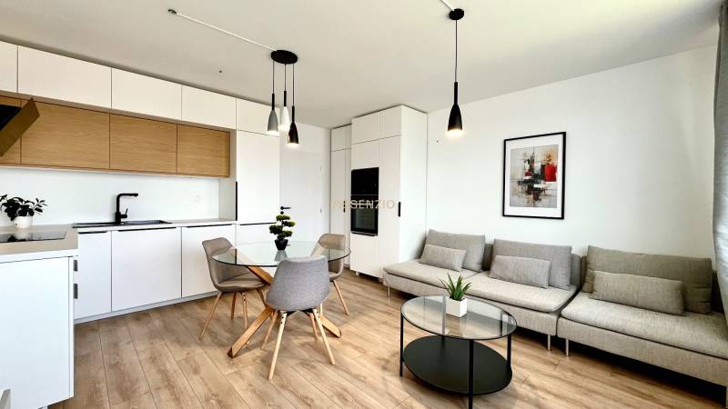 Designer-Küche und Wohnzimmer in einer 2-Zimmer-Wohnung mit Holzelementen und Dekoration.