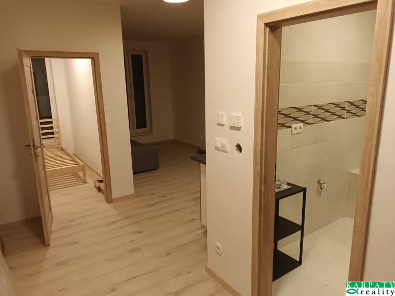 Interieur einer Einzimmerwohnung mit hellem Boden, Teil des Wohnzimmers und Badezimmer.