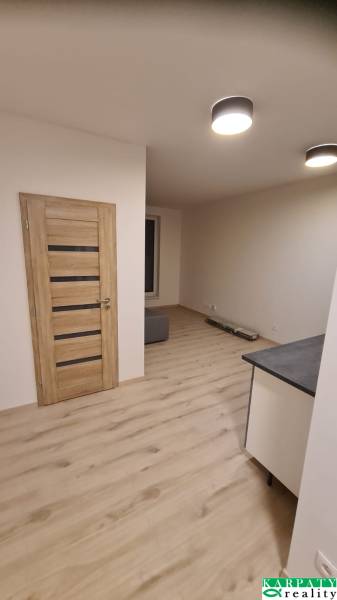 Holztüren, heller Laminatboden und Deckenleuchten in einer Einzimmerwohnung.