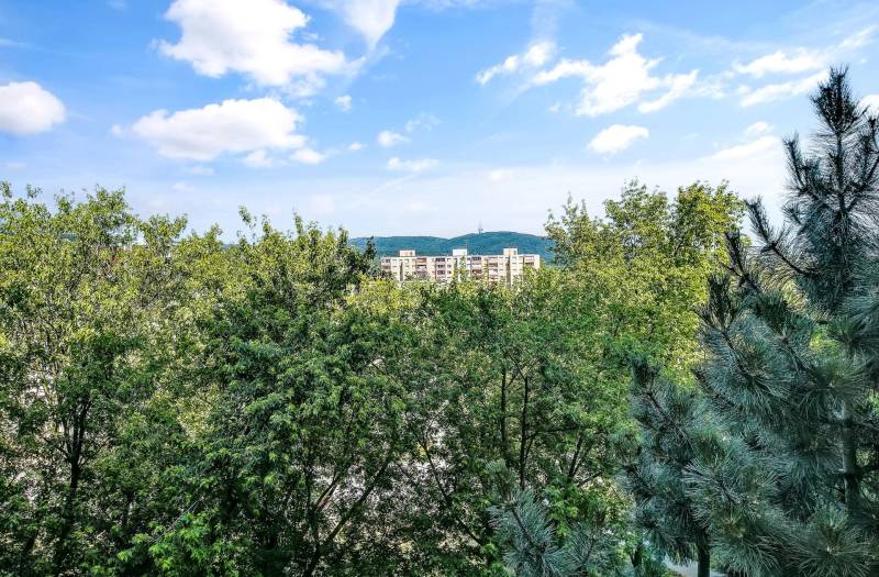 Blick auf die Plattenbauten hinter den Bäumen in der Landauova-Straße in Bratislava.
